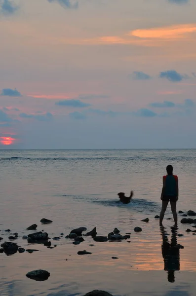 Місцеві Жінки Тай Відпочивають Від Собак Кам Яному Пляжі Грають — стокове фото