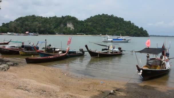 泰国萨顿拉恩古市白巴拉渔村穆高佩特拉国家公园海上等待渔获鱼的观光景观与当地泰国人浮在海面上拦截木船 — 图库视频影像