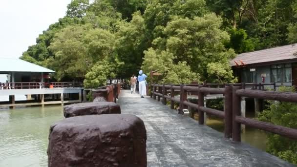 泰国萨顿市La Ngu市Pak Bara渔村Mu Petra国家公园大海中的时间旅行区石桥上 女游客们在游览和散步时放松一下 — 图库视频影像