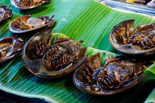 Tachypleus gigas or horseshoe crab for chef cooking spicy sour salad for sale thai people travel visit at Local Talad Nam Lumphaya temple or Wat Lam Phaya Floating Market in Nakhon Pathom, Thailand