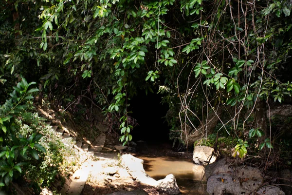 Tham Stegodon Wang Kluai Sea Cave Tunnel Limestone Mountain Unesco — Zdjęcie stockowe