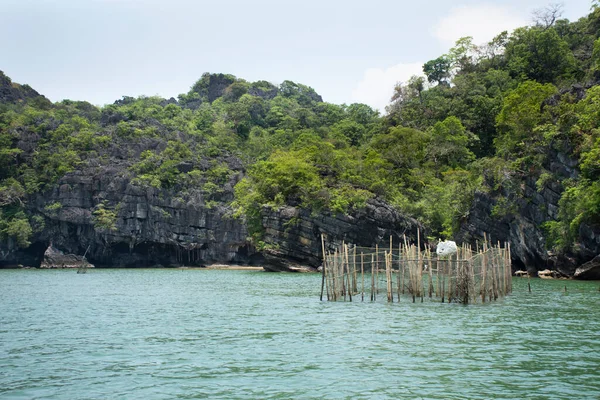 Landscape Seascape Raise Marine Fish Farm Bamboo Cage Thai Fisher — Stock Photo, Image