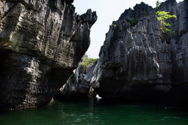 Tayland 'ın başkenti Satun' da bulunan La ngu 'daki Pak Bara' ya seyahat eden gezginler için Mu Ko Petra Ulusal Parkı 'ndaki Ko Khao Yai' nin deniz ya da okyanus kıyısındaki Prasat Hin Pan Yod adasının kayalık kayalıklarına bakın.