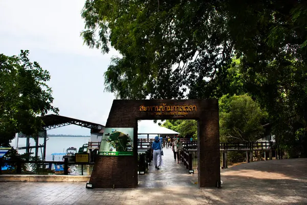 2022年4月11日 泰国萨顿市白巴拉村穆科皮特拉国家公园的海上时间旅行区石桥上 女游客们正在游览和散步 — 图库照片