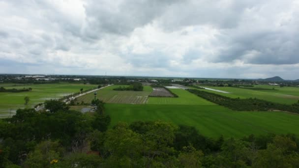 Landschaft Aus Der Luft Und Reisfelder Oder Reisfelder Vom Aussichtspunkt — Stockvideo
