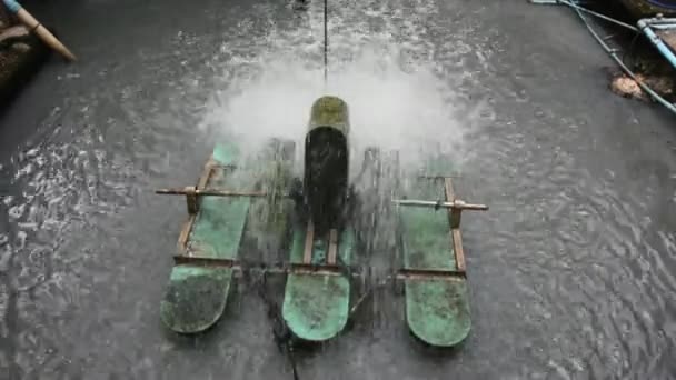 泰国Non Thaburi园林园区池池处理水污泥废水处理运行风车系统中的氧气产生表面曝气机械 — 图库视频影像