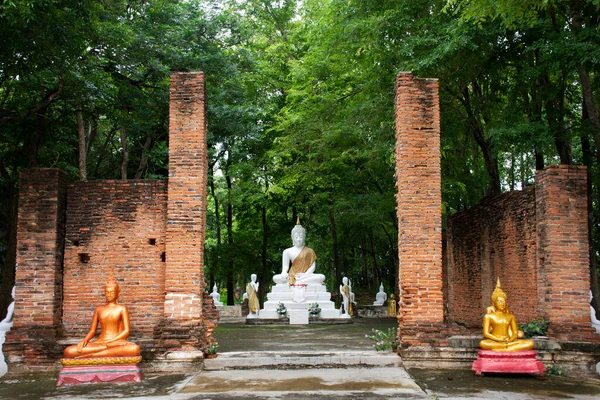 Древний Античный Белый Будда Статуя Античных Руинах Ubosot Тайцев Путешествовать — стоковое фото