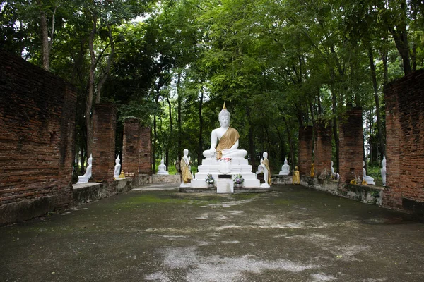 Antigua Estatua Buda Blanca Antigua Ruina Antigua Ubosot Para Gente —  Fotos de Stock