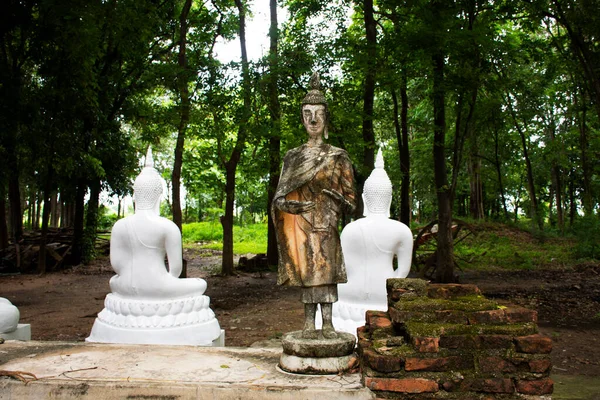 Древние Сломанные Будды Статуя Старинных Руинах Здания Тайцев Путешественники Путешествовать — стоковое фото