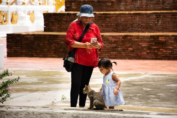 Thaise Kleine Schattige Kinderen Meisje Lopen Spelen Met Kat Reisbezoek — Stockfoto
