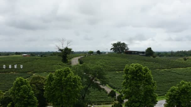 View Landscape Rural Countryside Farmland Garden Park Mountain Thai People — Stock videók