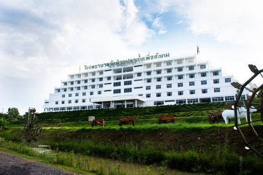  Hospital for thai people and foreign patient come to meet nurse and doctor for treat and cure at Chiangrai on June 30, 2022 in Chiang Rai Thailand