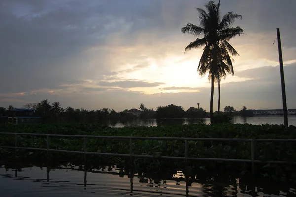 View Landscape Rice Field Plantation Cityscape Countryside Bang Bua Thong — Stock Photo, Image