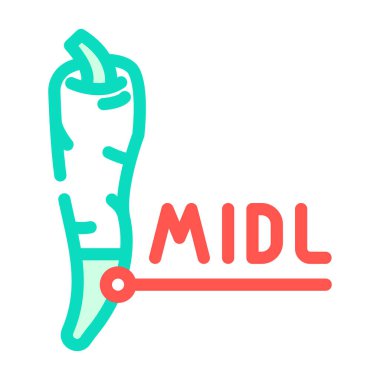 orta baharat biberi renk vektör illüstrasyonu