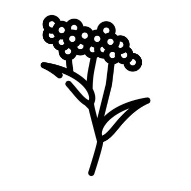 Yaşlı bitki çizgisi ikon vektör illüstrasyonu