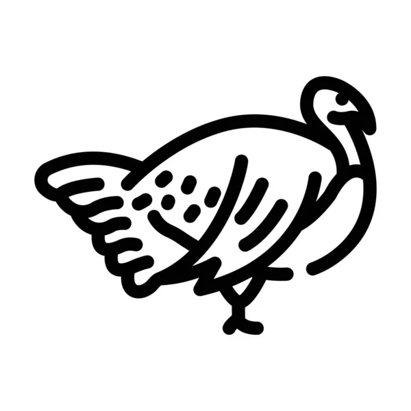 Türkei Ackerland Vogel Linie Symbol Vektor Illustration — Stockvektor