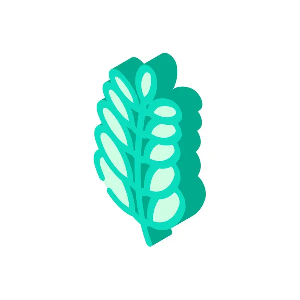 Moringa biyovitamin yiyeceği izometrik ikon vektör çizimi — Stok Vektör