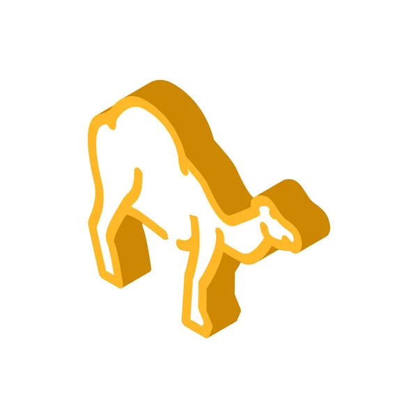 Animal camello ícono isométrico vector ilustración — Vector de stock