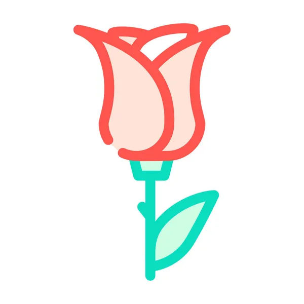 Rosa aromático cor da flor ícone vetor ilustração —  Vetores de Stock