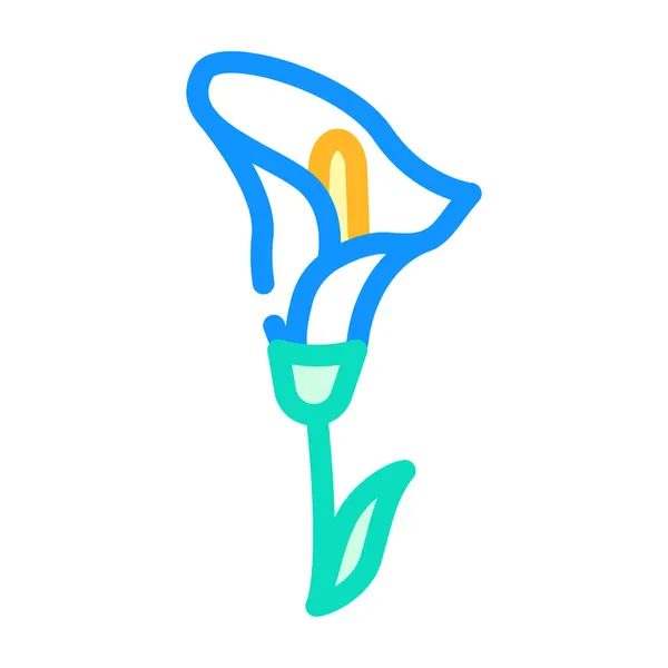 Calla cor da flor ícone vetor ilustração —  Vetores de Stock