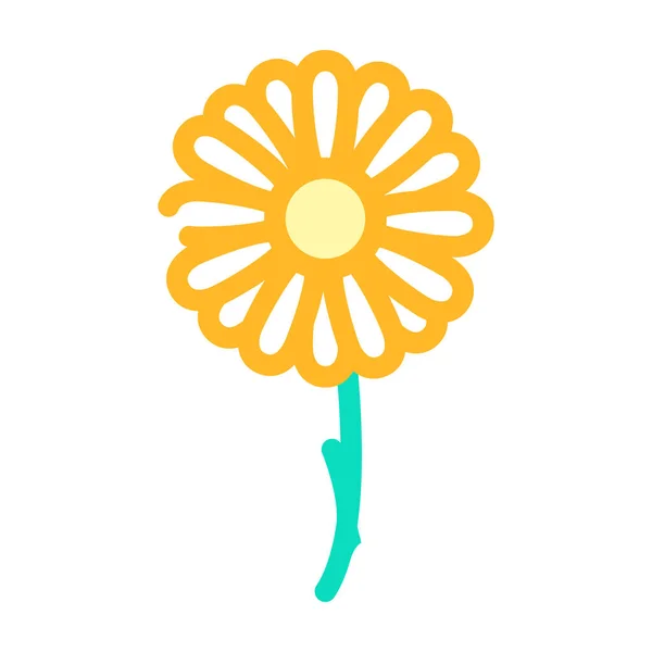 Camomila cor da flor ícone vetor ilustração —  Vetores de Stock