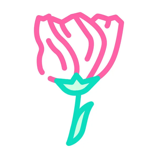 Lisianthus flor cor ícone vetor ilustração —  Vetores de Stock
