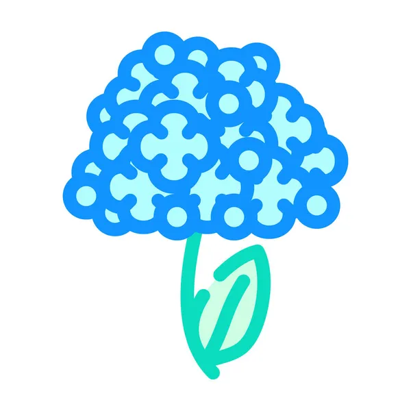 Hydrangea flor cor ícone vetor ilustração —  Vetores de Stock