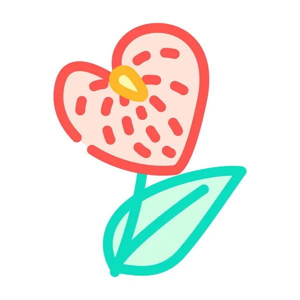 Anthurium kwiat kolor ikona wektor ilustracja — Wektor stockowy