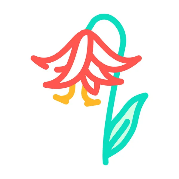 Lilium natural flor cor ícone vetor ilustração —  Vetores de Stock