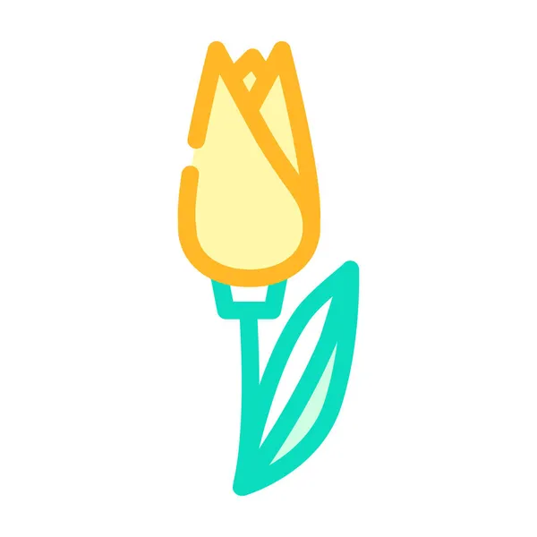 Tulipa cor da flor ícone vetor ilustração —  Vetores de Stock