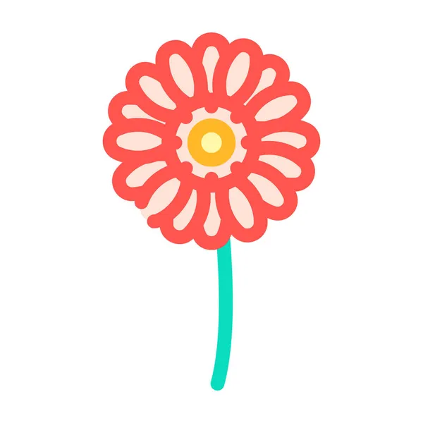 Gerbera flor cor ícone vetor ilustração —  Vetores de Stock
