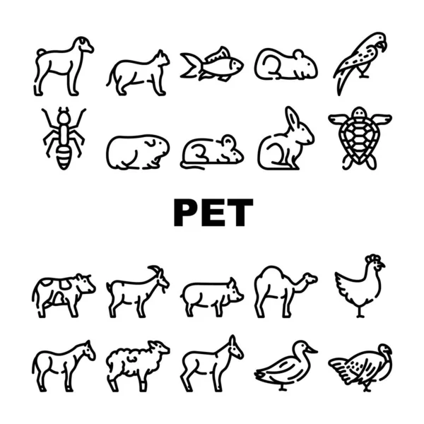 Pet Domestic, Farm And Sea Aqua Icons Set Vector — Stock Vector