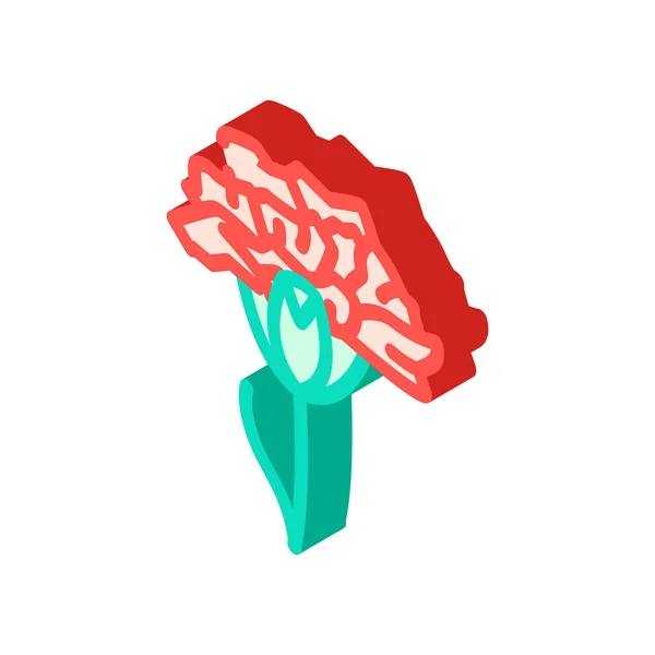 カーネーションフラワーアイソメトリックアイコンベクトル カーネーションの花のサイン 孤立したシンボルイラスト — ストックベクタ