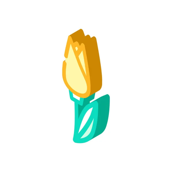 Цветок Тюльпана Изометрический Вектор Значка Цветочный Знак Тюльпана Изолированная Иллюстрация — стоковый вектор