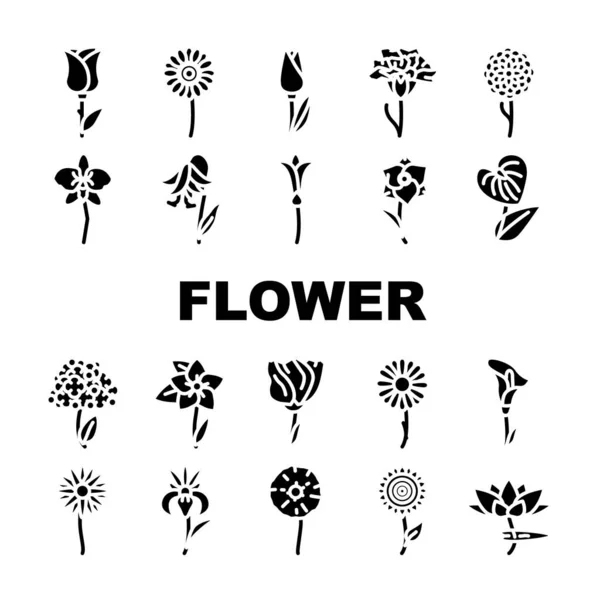 Conjunto de iconos de plantas aromáticas naturales de la flor Vector — Vector de stock