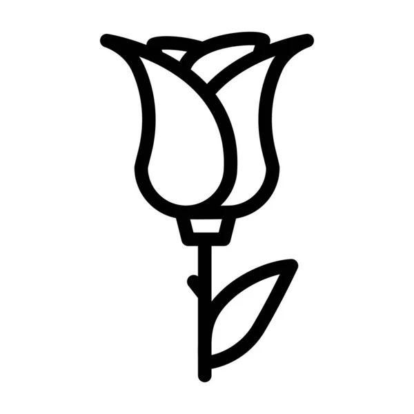 Rose aromatic flower line icon vector illustration — Stock Vector