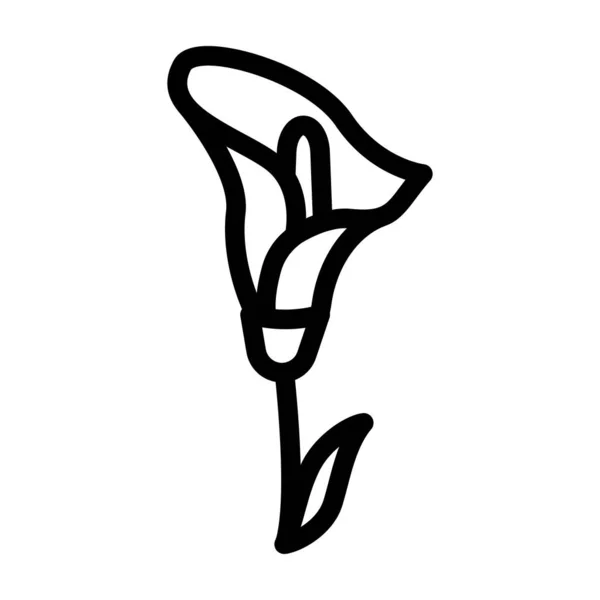 Calla flor línea icono vector ilustración — Archivo Imágenes Vectoriales