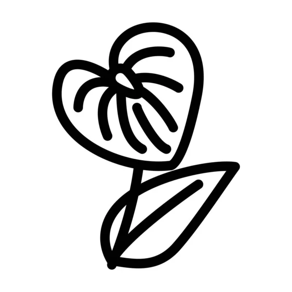 Anthurium Blume Linie Symbol Vektor Illustration — Stockvektor