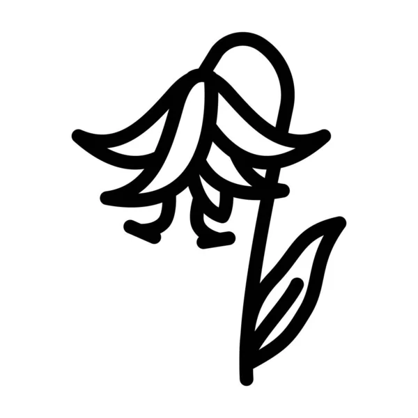 Lilium natural flower line icon vector illustration — Stock Vector