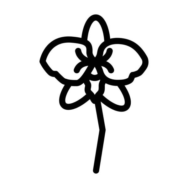 Orquídea aroma flor linha ícone vetor ilustração —  Vetores de Stock