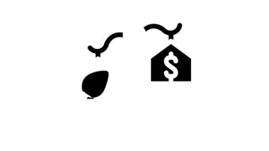 Chia Kripto para birimi simge canlandırması