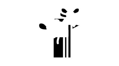 Noel hediye kutuları glyph simge animasyonu