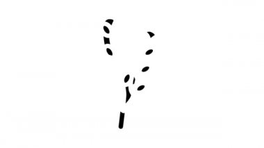 Sikiş vesiculosus yosun sembolü animasyonu