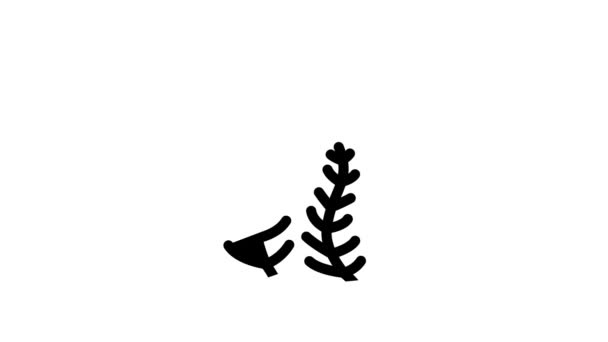 Caulerpa taxifolia zeewier glyph pictogram animatie — Stockvideo