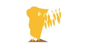 makrosistis deniz yosunu renk simgesi canlandırması