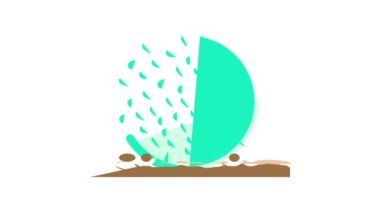 egagropylus linnaeus deniz yosunu renk simgesi canlandırması