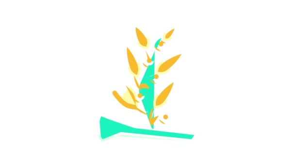 Sargassum zeewier kleur pictogram animatie — Stockvideo