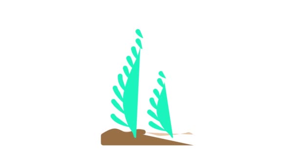 Caulerpa taxifolia algas color icono animación — Vídeos de Stock