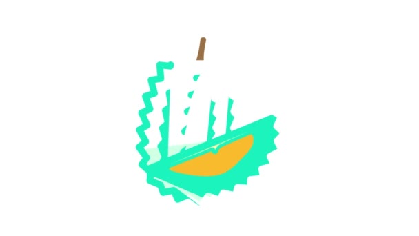 Durian fruit kleur pictogram animatie — Stockvideo