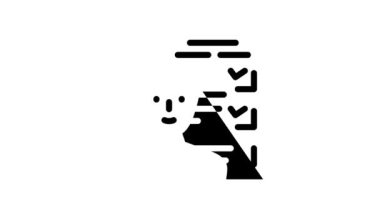 Müşteri anketi Kyc satır canlandırması